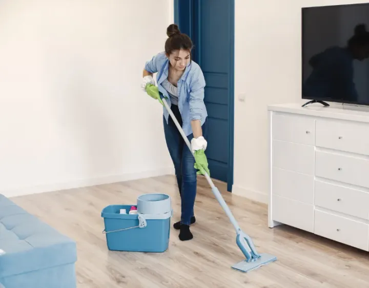Femme de ménage Plou